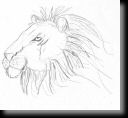 LionHead.jpg